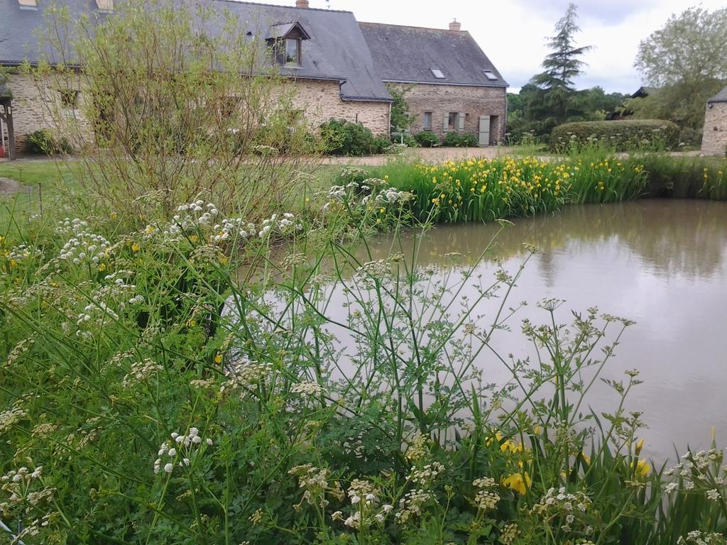 Bed and Breakfast Grand Mainguet Saint-Lambert-la-Potherie Esterno foto