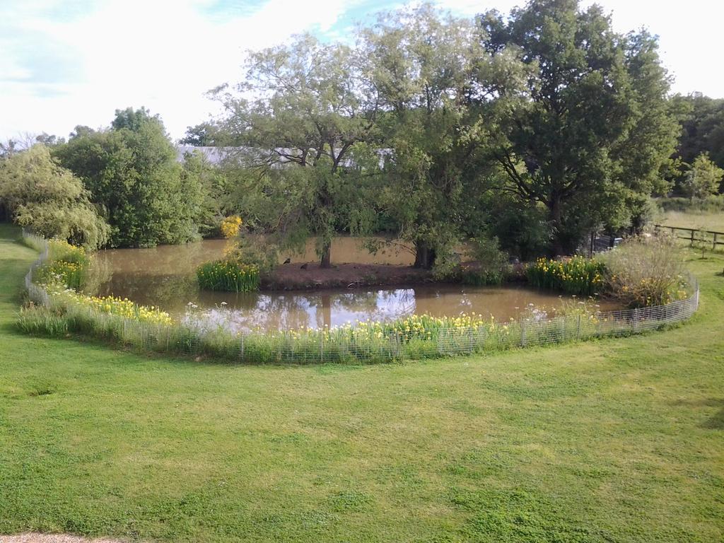 Bed and Breakfast Grand Mainguet Saint-Lambert-la-Potherie Esterno foto